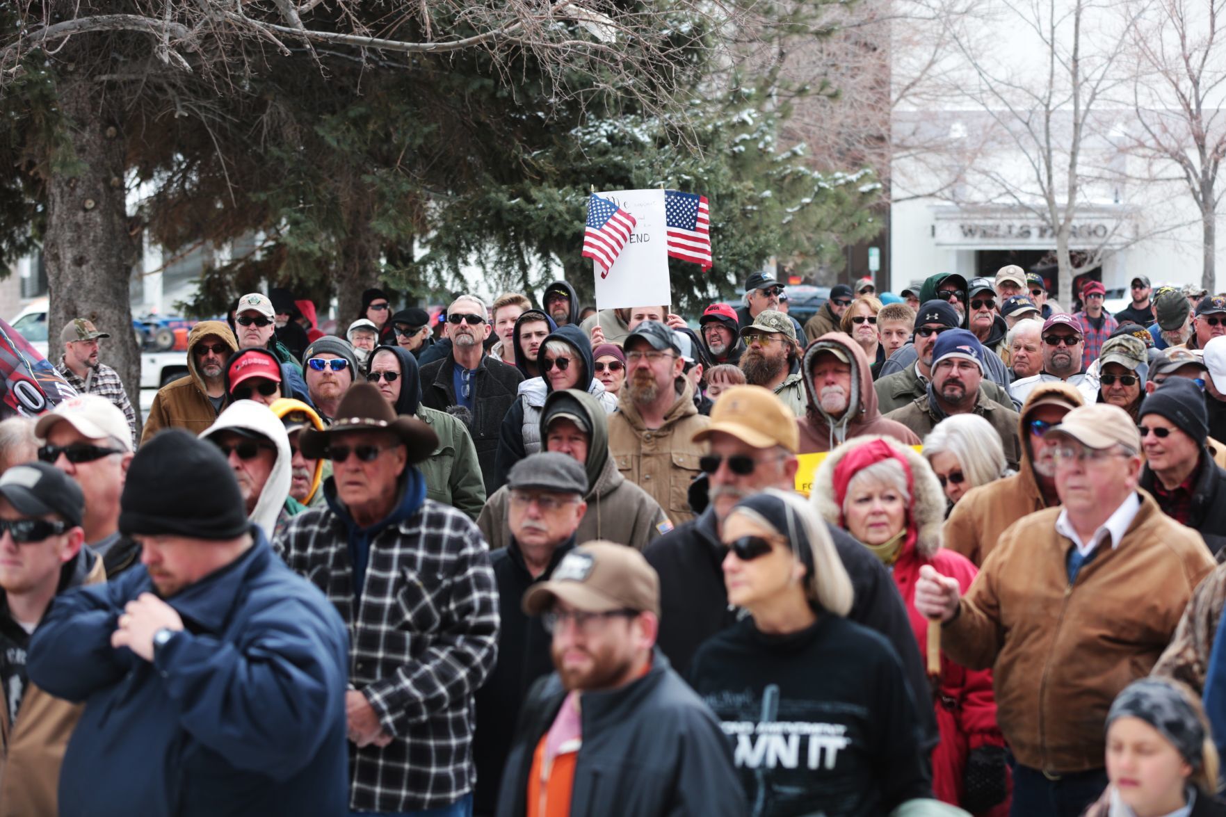 Pro-gun rally